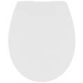 Images with transparent background (Top view) 1