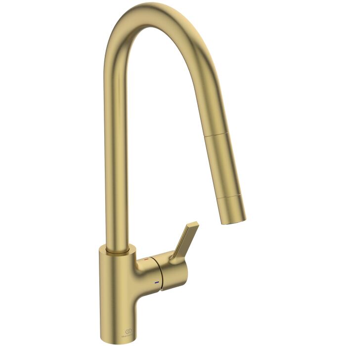Pull-out spout
