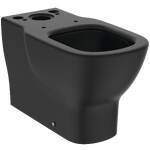 TESI | Close-coupled back-to-wall bowl 360x660x400 mm, Washdown, horizontal outlet
